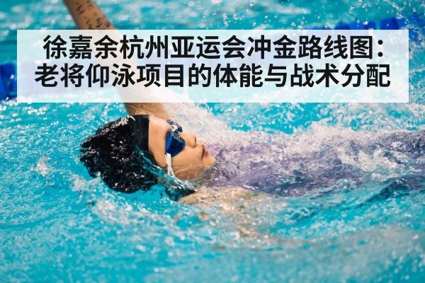 徐嘉余杭州亚运会冲金路线图：老将仰泳项目的体能与战术分配